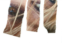 X30 (triple eye)